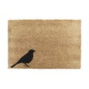 Covoraș de intrare din fibre de nucă de cocos 40x60 cm Bird – Artsy Doormats