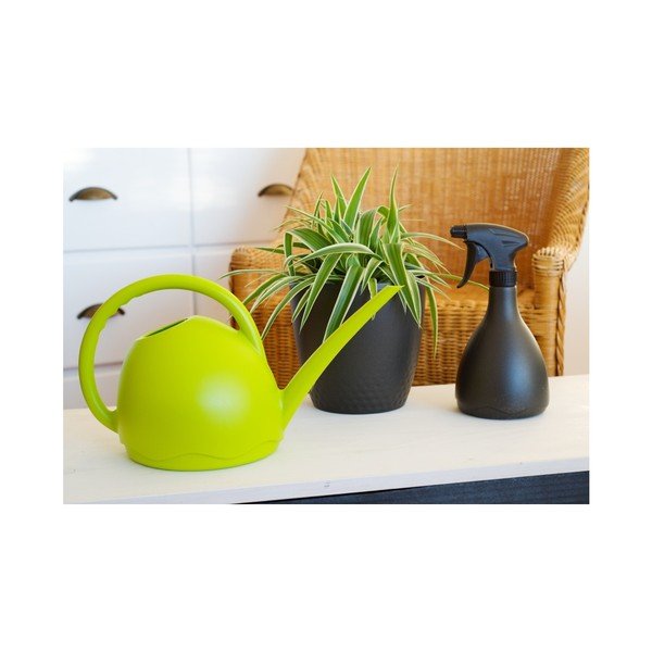 Stropitoare Plastia Medusa, 1,8 l, verde-image-2
