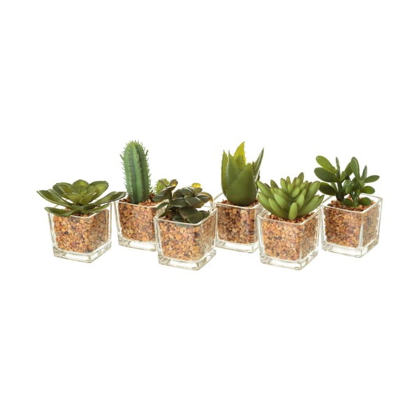 Set 6 decorațiuni artificiale Casa Selección,  bej verde