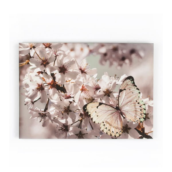 Tablou Graham & Brown Butterfly Branch, 70 x 50 cm