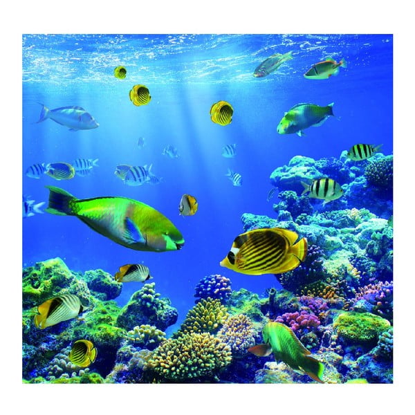 Tapet Underwater World, 300x280 cm