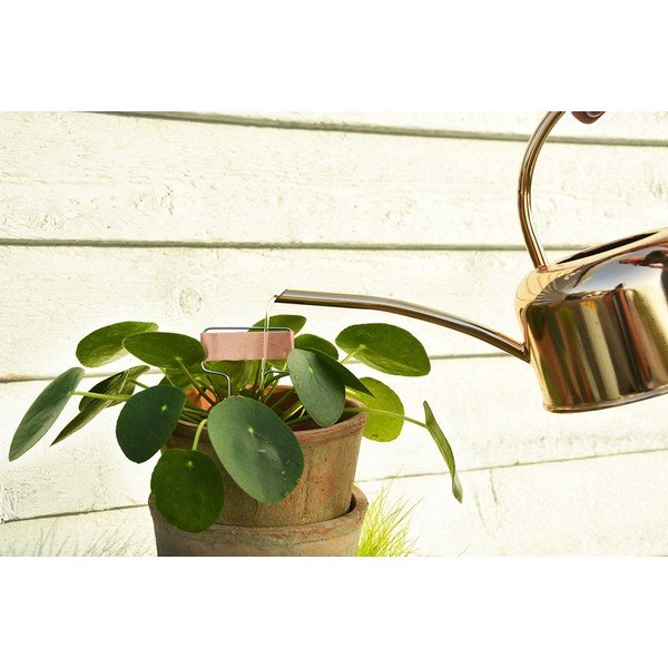 Stropitoare din metal 1 l – Esschert Design-image-3