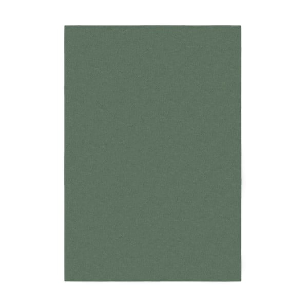 Covor verde 200x290 cm – Flair Rugs