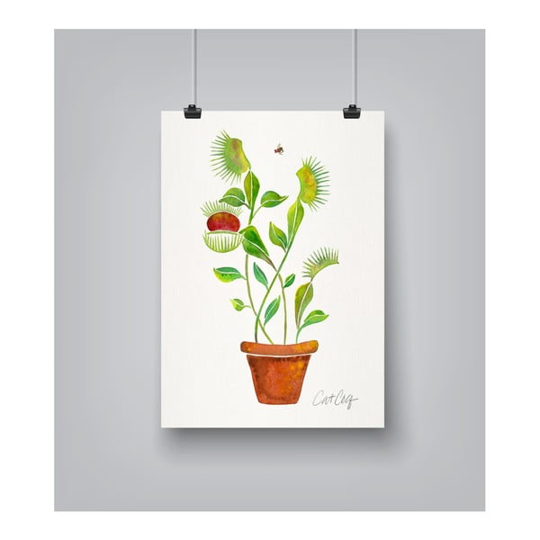 Poster Americanflat Americanflat Venus Fly Trap, 30 x 42 cm