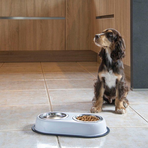 Set boluri cu suport pentru câini din plastic – Love Story-image-1