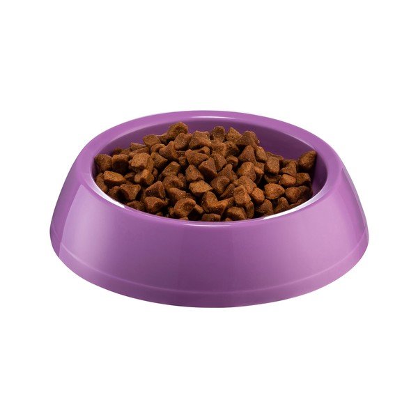 Bol violet pentru câini Petpetite, ø 14 cm-image-1