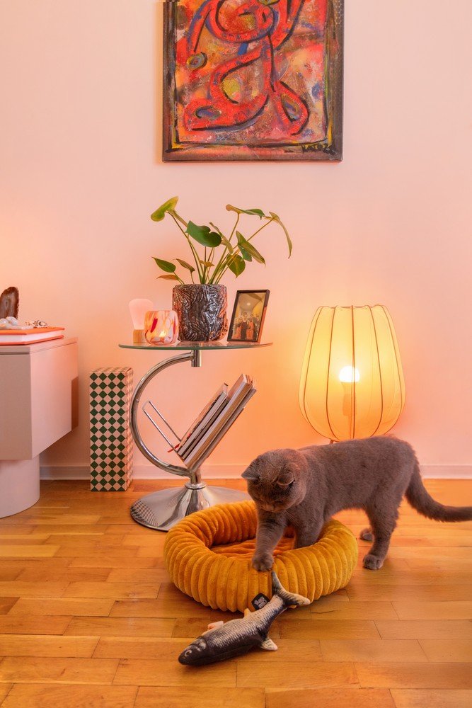 Inspirații: Bonami în vizită