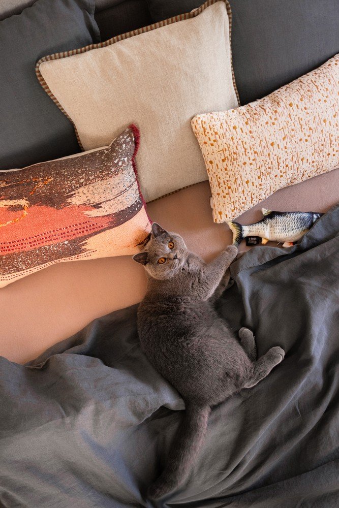 Inspirații: Bonami în vizită