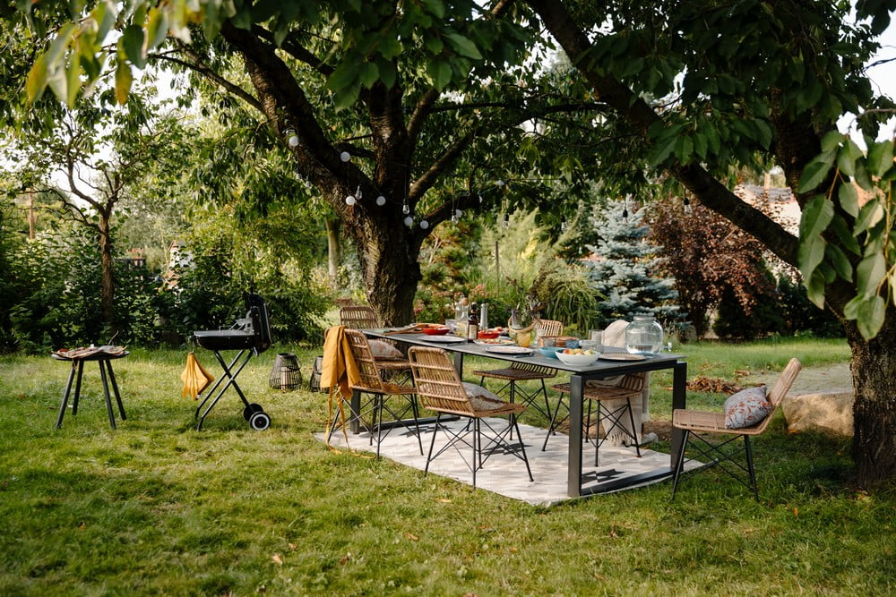 Inspirații: Vară, Grădină