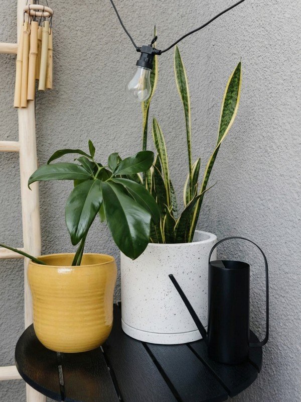 Inspirații: Balcon și terasă, Grădină