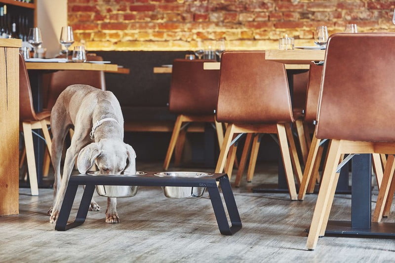 Inspirații: Sufragerie, Articole pentru animale de companie, Stil scandinav