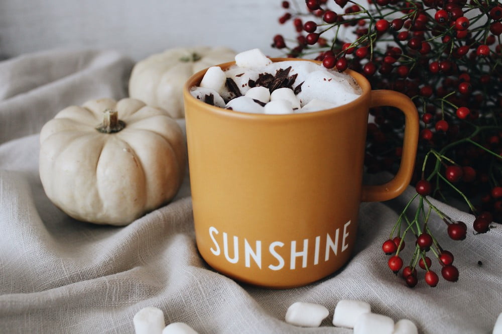 Inspirații: Bucătărie și zona de dining