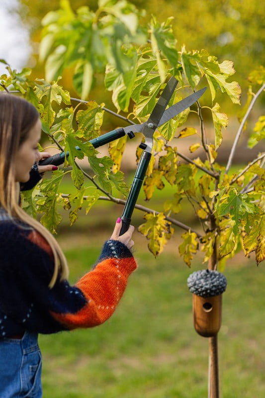 Inspirații: Grădină