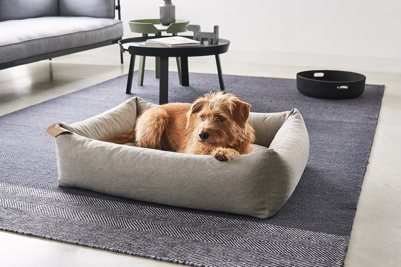 Inspirații: Sufragerie, Articole pentru animale de companie