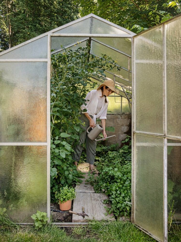 Inspirații: Grădină