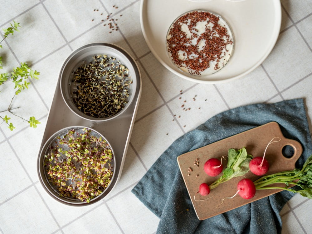 Inspirații: DIY: Idei și instrucțiuni, Textile