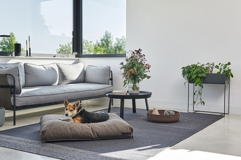 Inspirație: Sufragerie, Stil scandinav