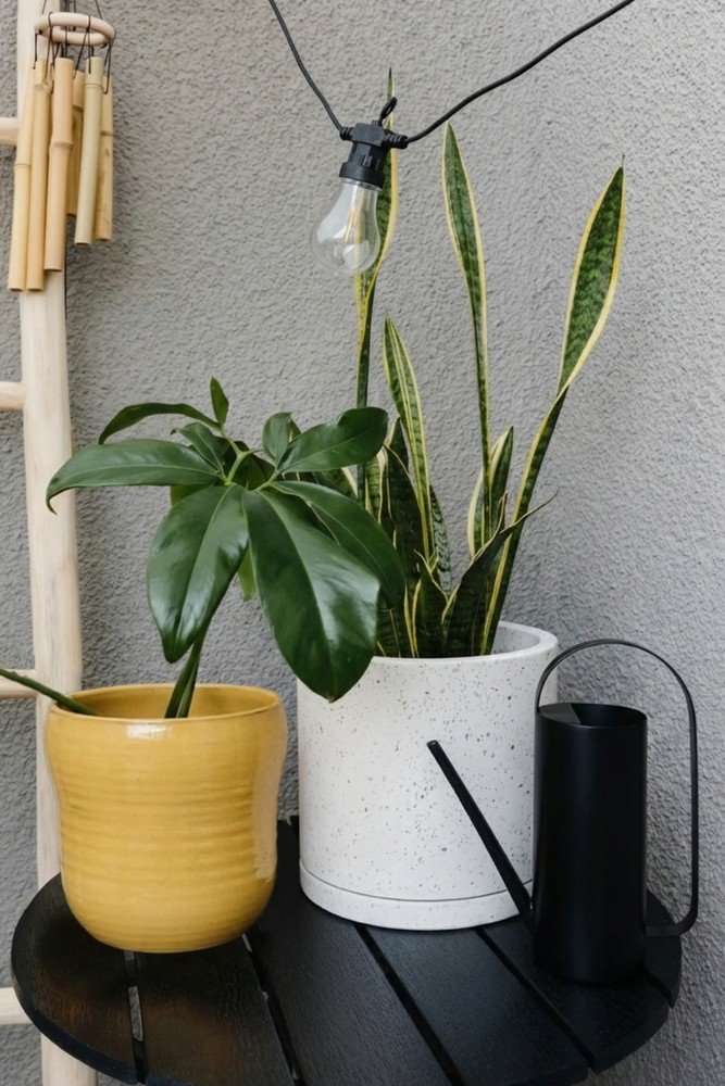 Inspirații: Balcon și terasă, Vară, Primăvară