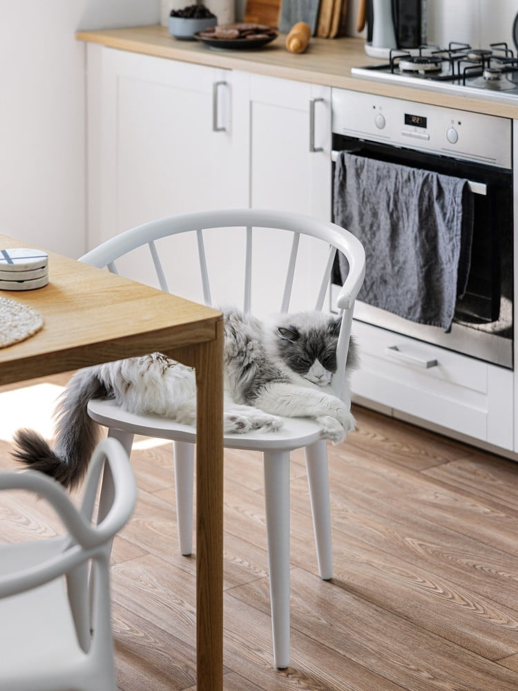 Inspirații: Bucătărie și zona de dining