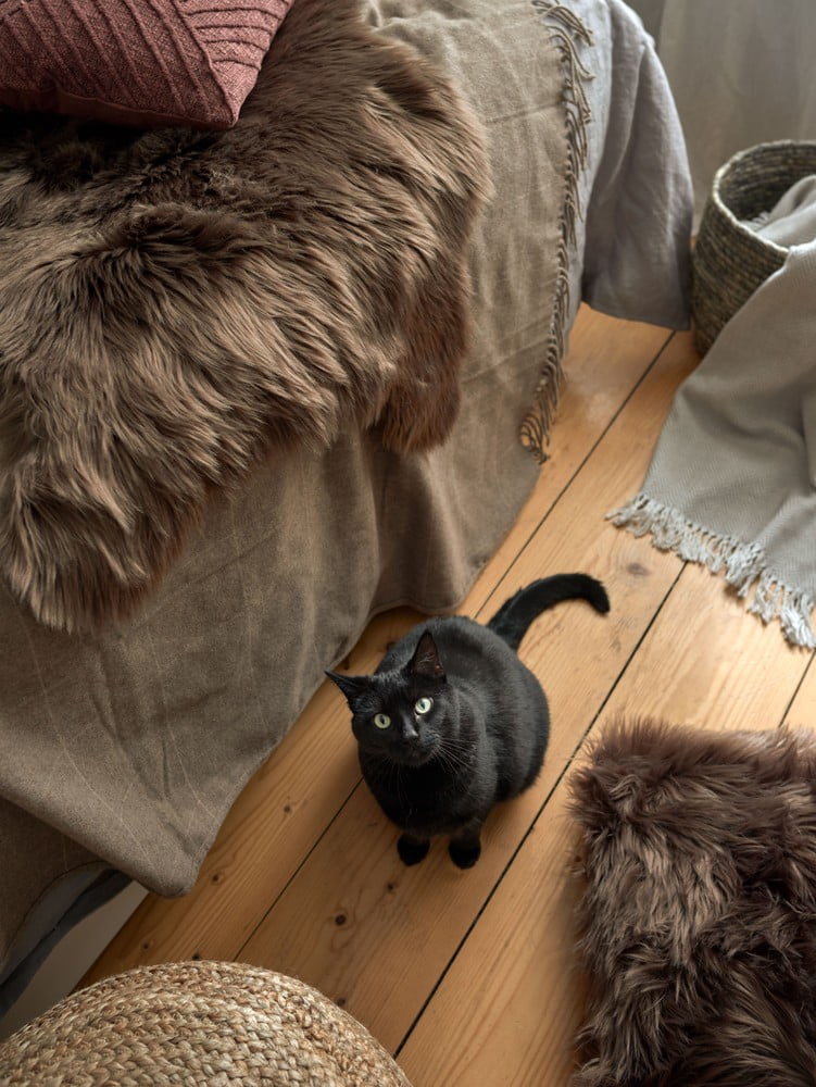 Inspirații: Dormitor