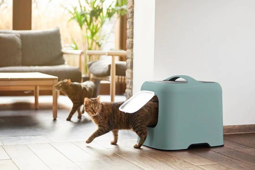 Inspirații: Articole pentru animale de companie