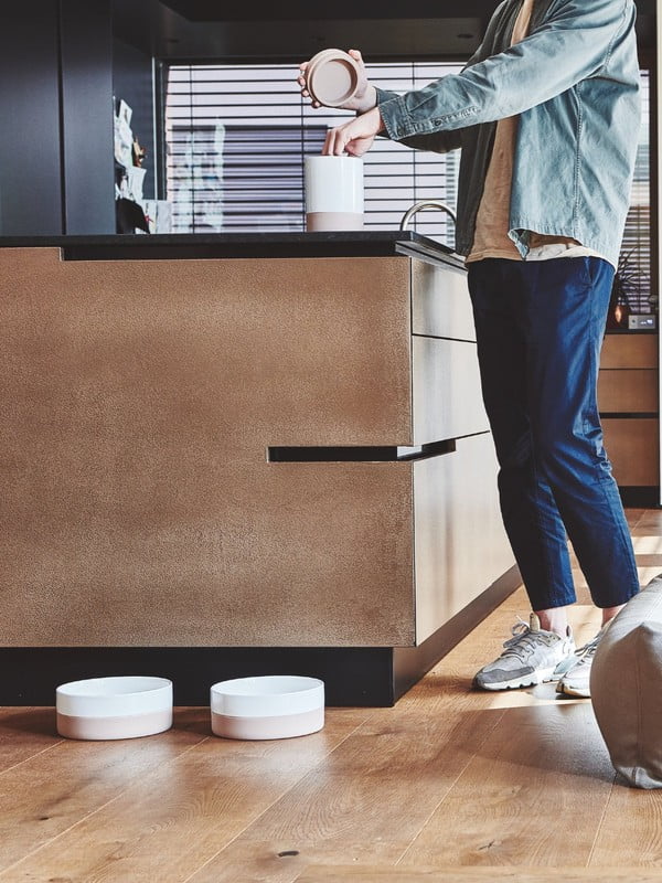 Inspirații: Stil scandinav, Articole pentru animale de companie