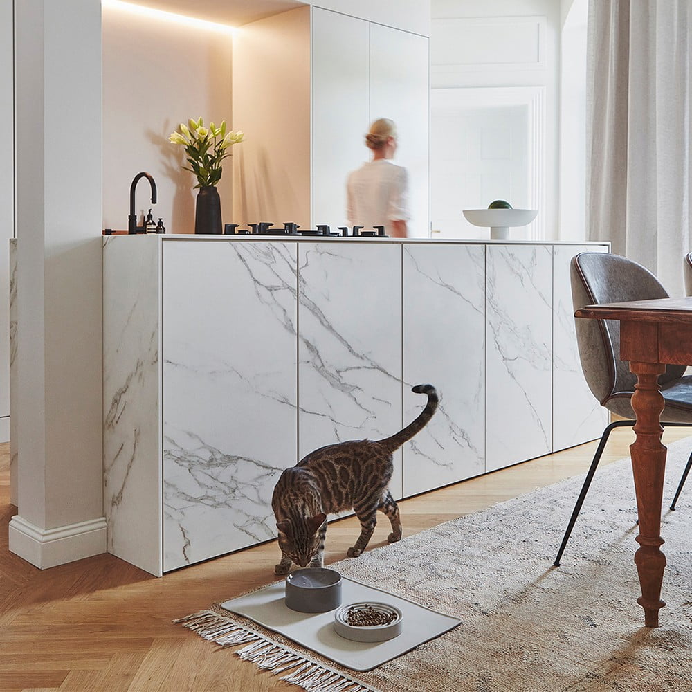 Inspirații: Articole pentru animale de companie