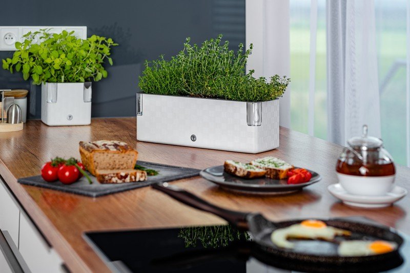 Inspirații: Bucătărie și zona de dining, Primăvară