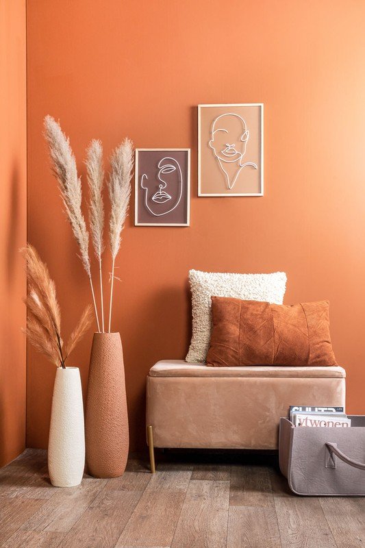 Inspirații: Hol și dressing