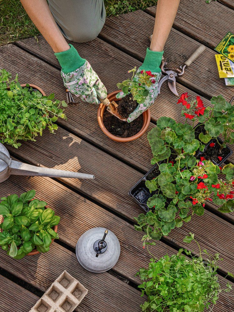 Inspirații: Grădină