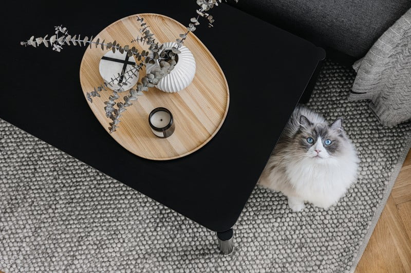 Inspirații: Sufragerie, Stil scandinav