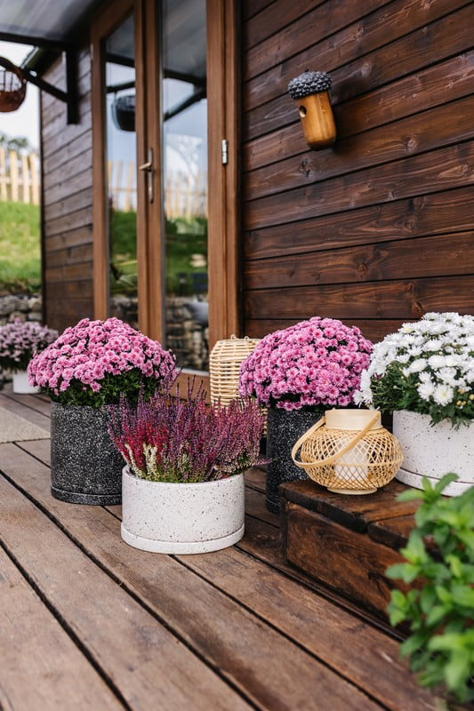 Inspirații: Grădină, Stil rustic, Balcon și terasă
