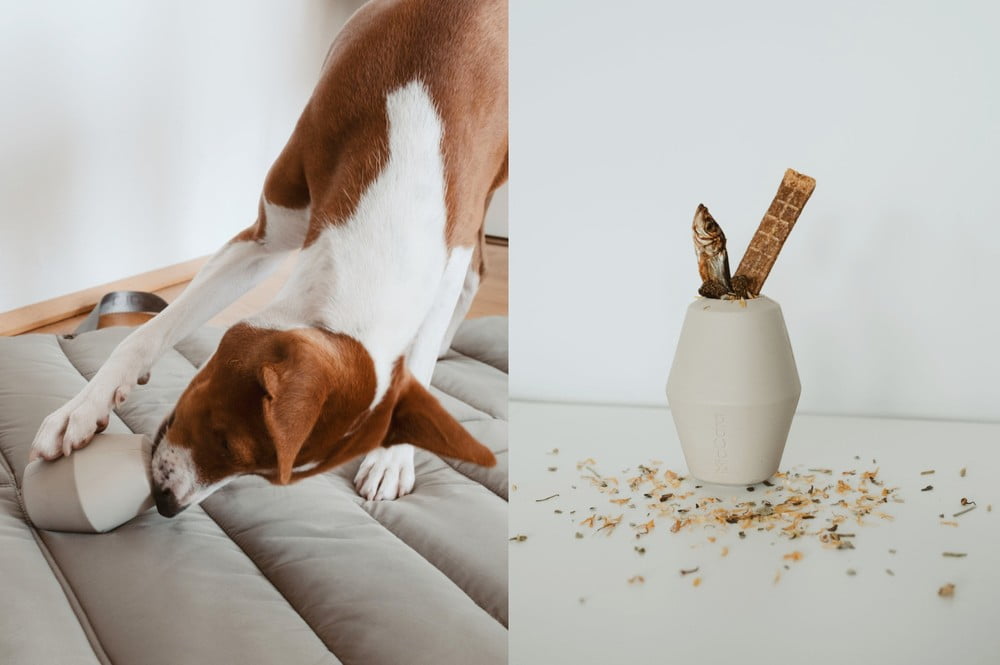 Inspirații: Articole pentru animale de companie