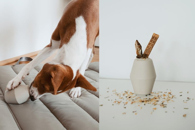 Inspirații: Articole pentru animale de companie