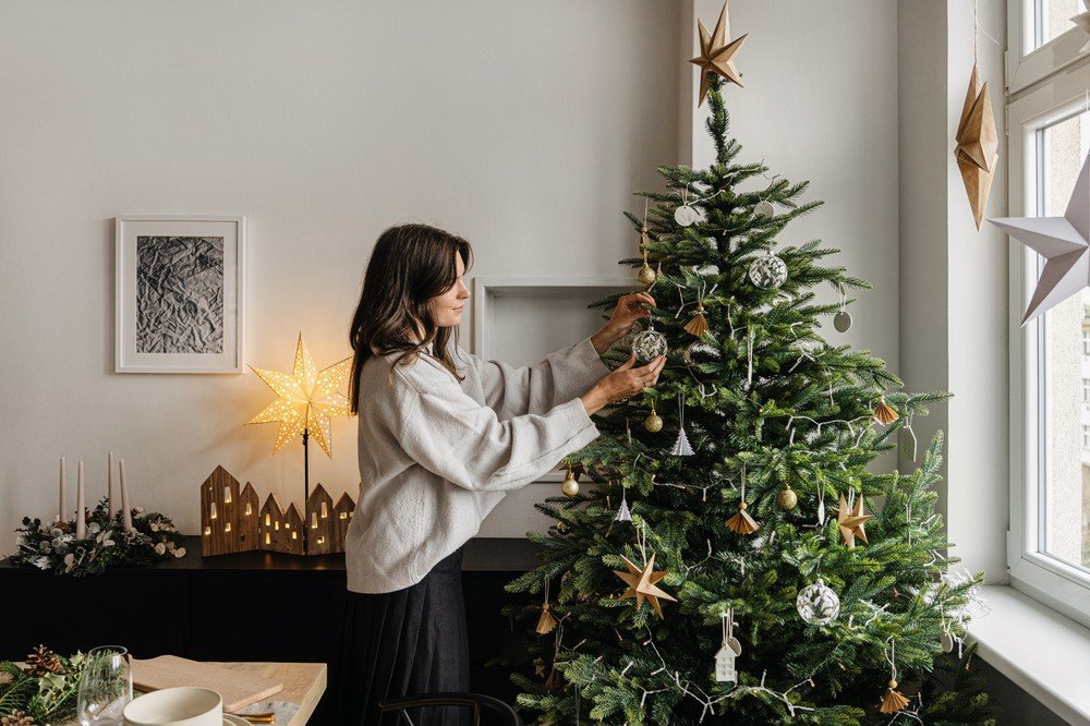 Inspirații: Crăciun, Zonă de dining, Decorațiuni