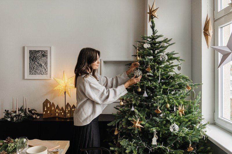 Inspirații: Crăciun, Zonă de dining, Decorațiuni