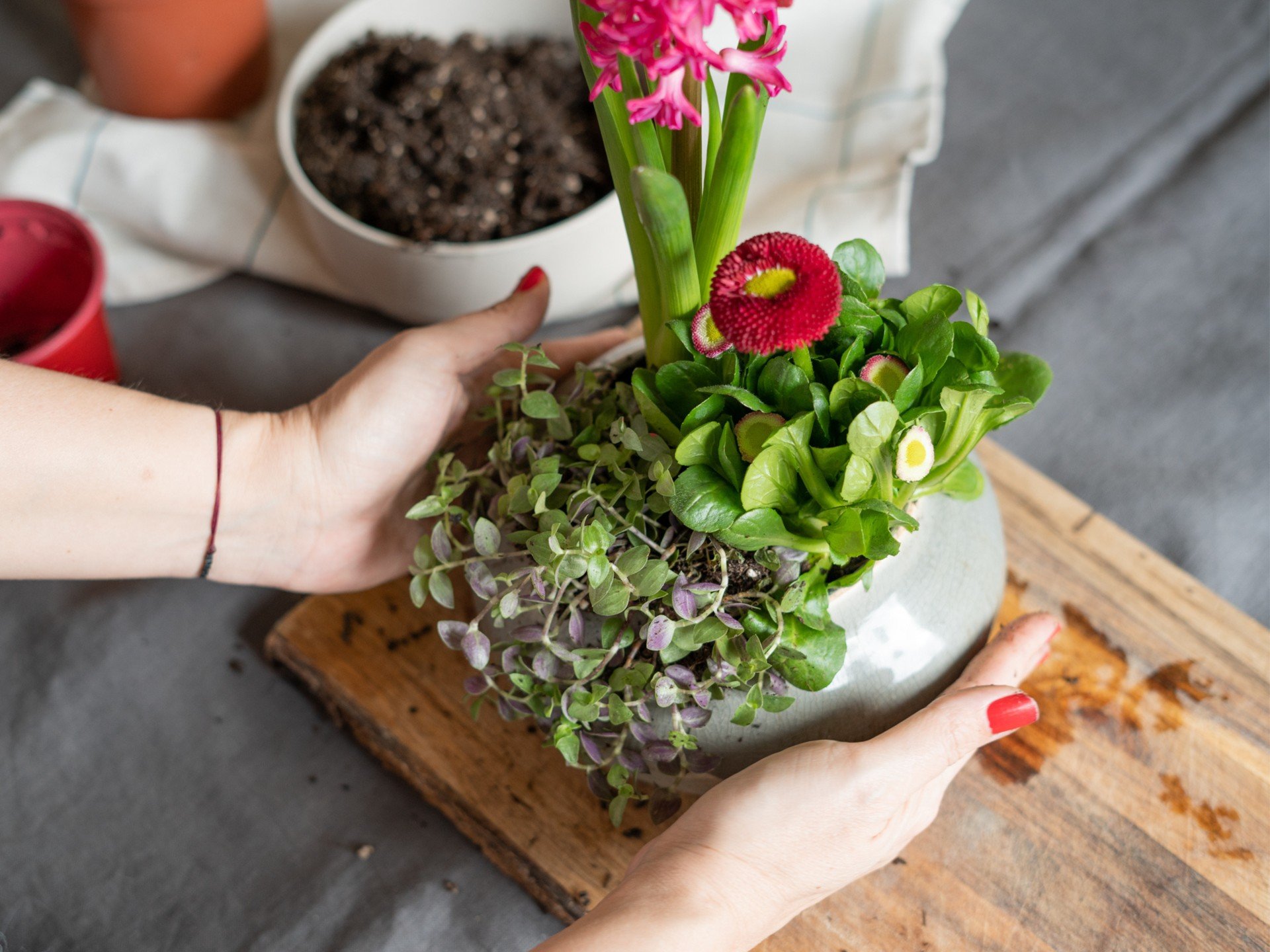 Decorațiuni de primăvară din bulbi și plante