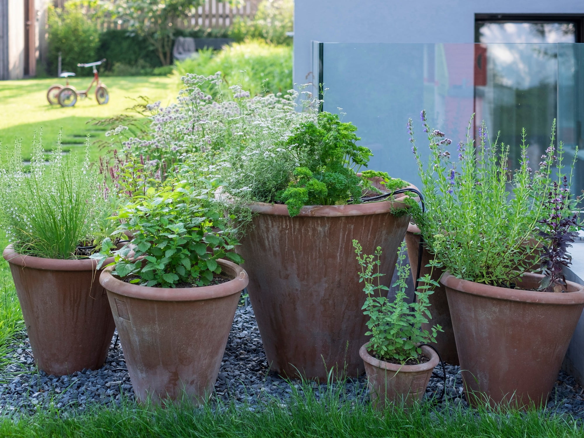 Alege ghivece de exterior de dimensiuni diferite pentru cultivarea de ierburi aromatice și fructe. 