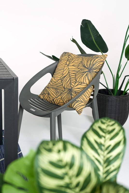 Inspirații: Grădină, Outdoor