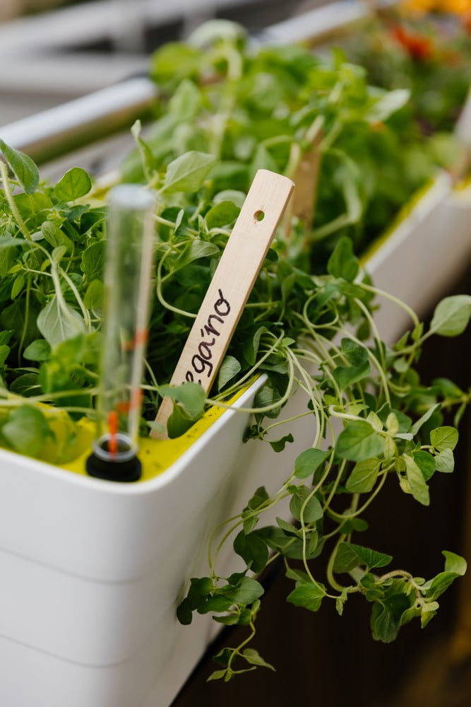 Inspirații: Balcon și terasă