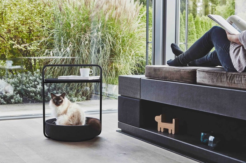 Inspirații: Sufragerie, Articole pentru animale de companie, Stil scandinav