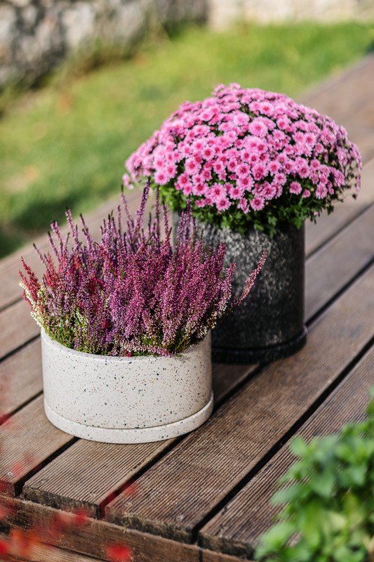 Inspirații: Grădină, Balcon și terasă, Stil rustic