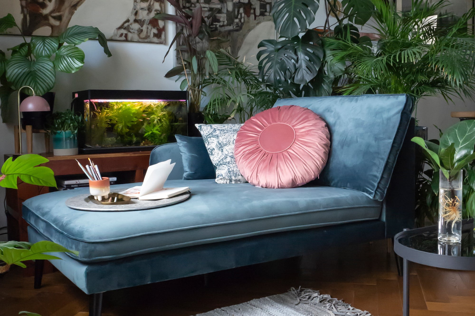 Cauți plante de apartament rezistente la umbră? Există multe opțiuni.