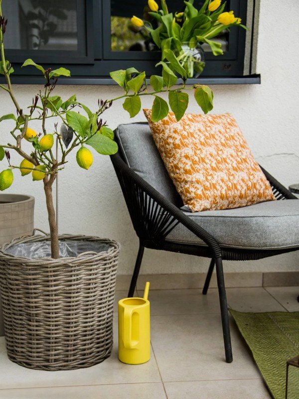 Inspirații: Balcon și terasă, Grădină