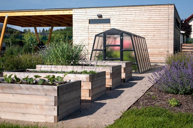 Grădinar pe terasă: pat ridicat de legume