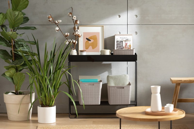 Inspirații: Sufragerie, Curățenie și organizare