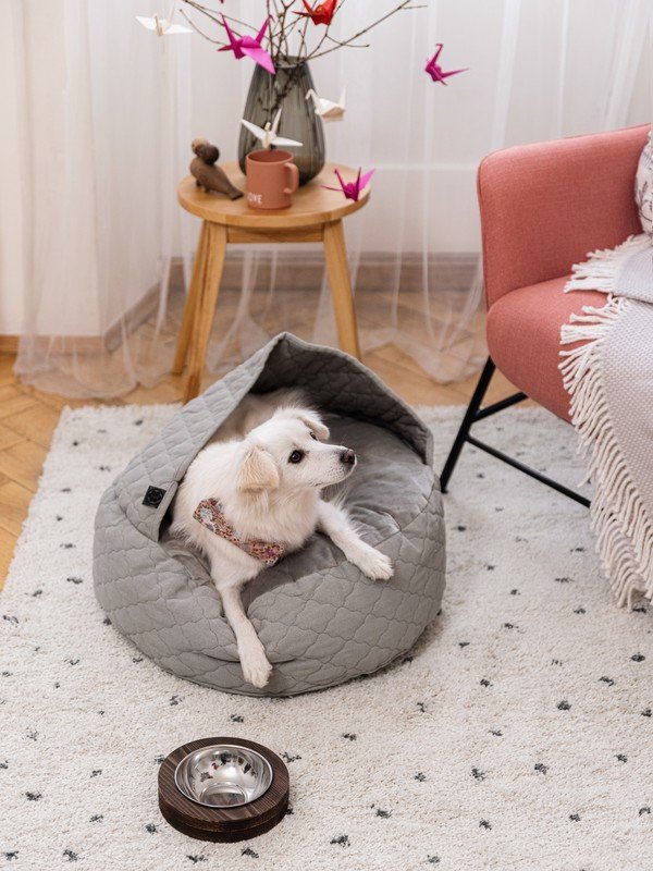 Inspirații: Ziua Îndrăgostiților