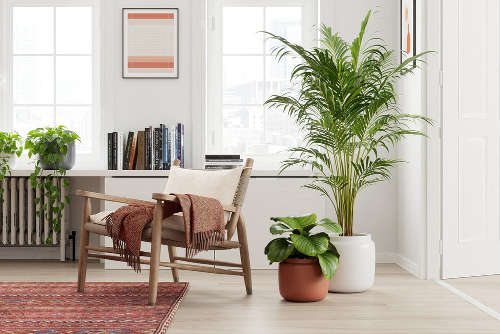 Inspirații: Decorațiuni