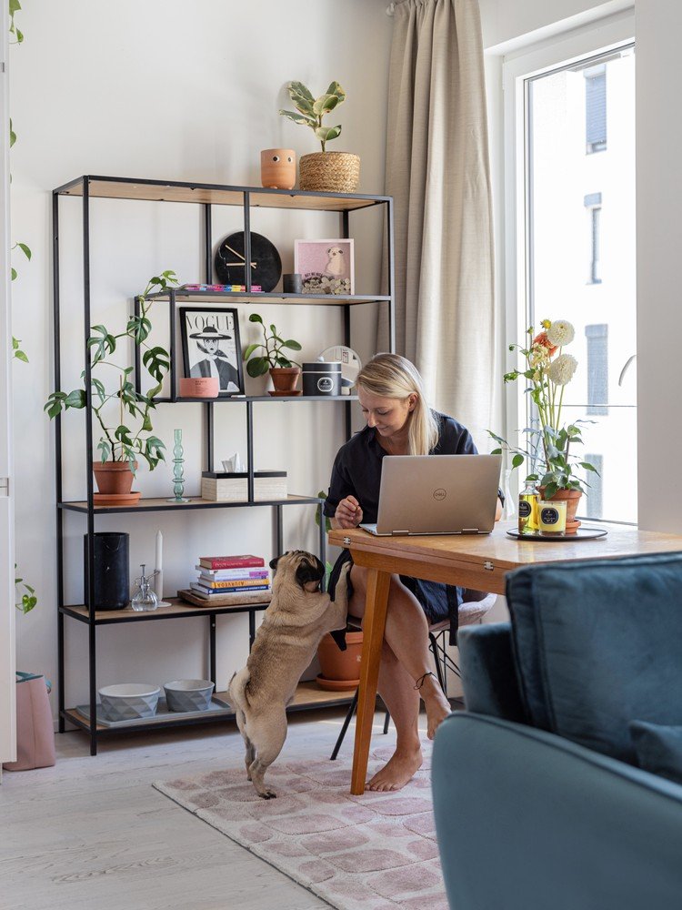 Inspirații: Zonă de dining