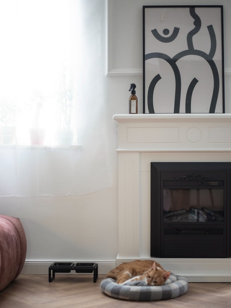 Inspirații: Sufragerie